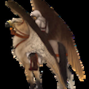 Meet your Posher, Miriam